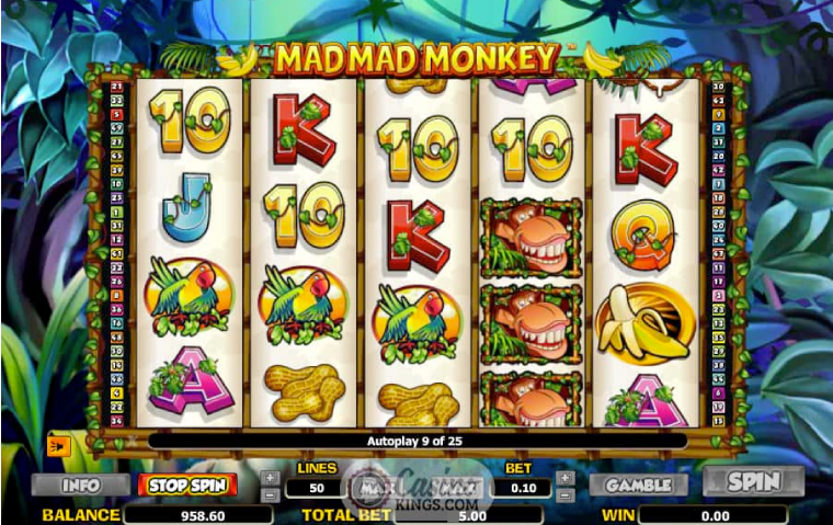 mad-mad-monkey-slot-features.png