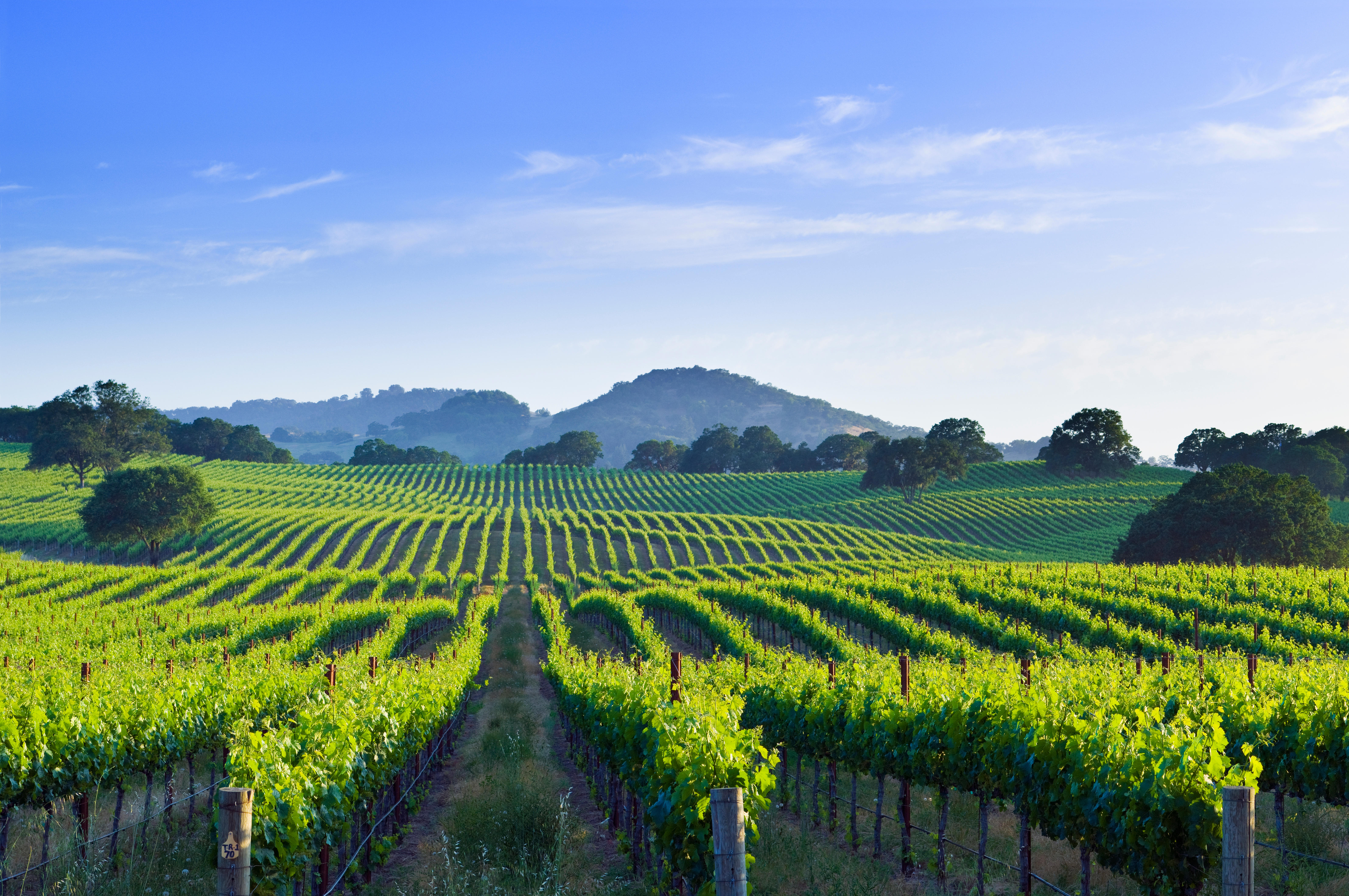 romantic-getaways-sonoma-valley-calif...