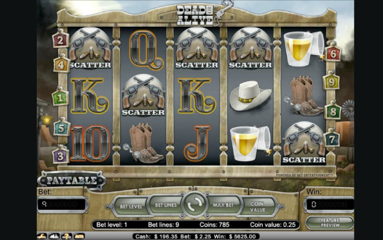 dead-or-alive-slot-features.png