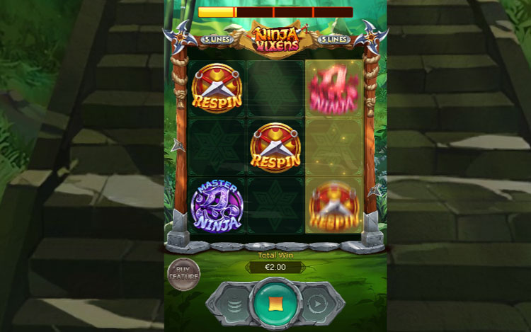 play-ninja-vixens-slot.jpg