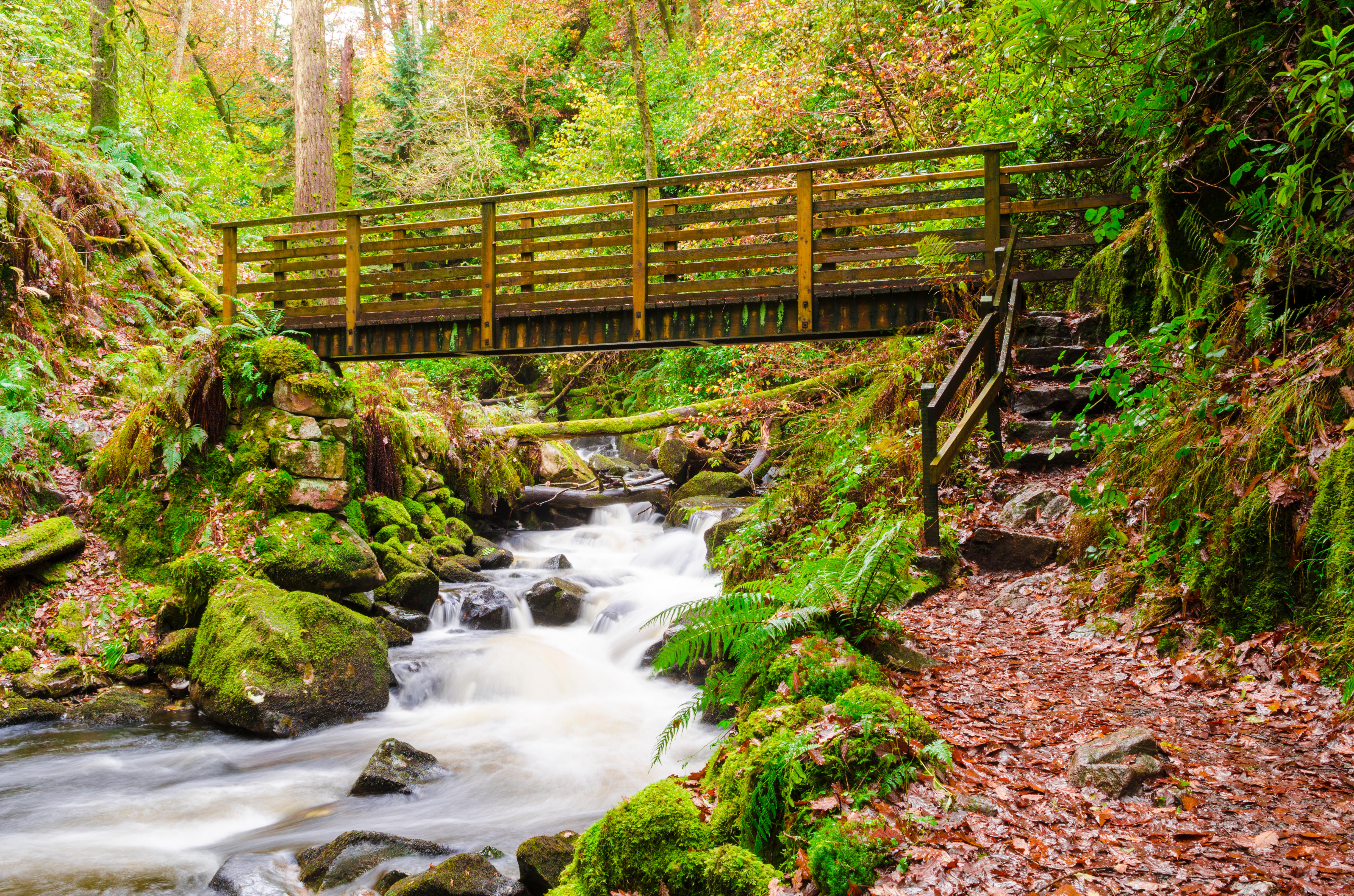 stanley-ghyll-luxury-cottage-lake-dis...