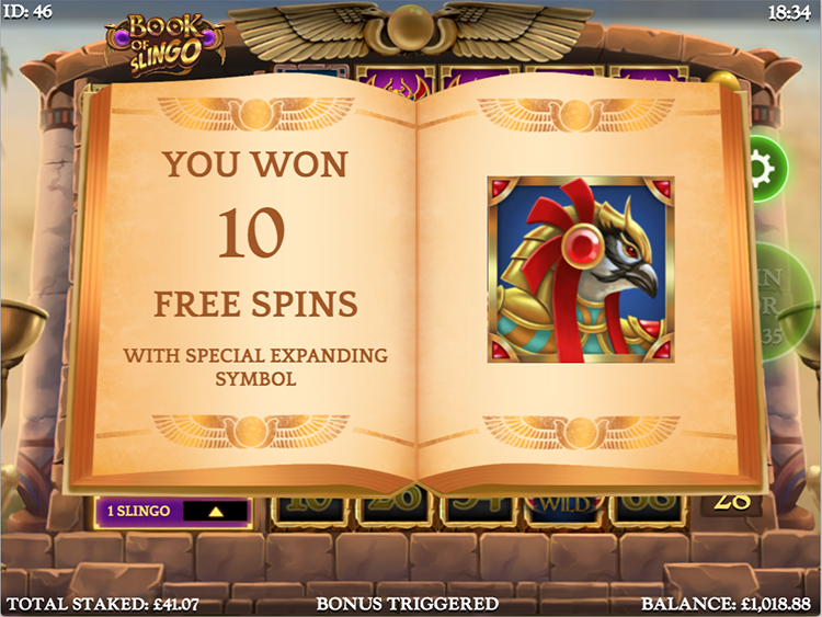 bookofslingo-screen4.png