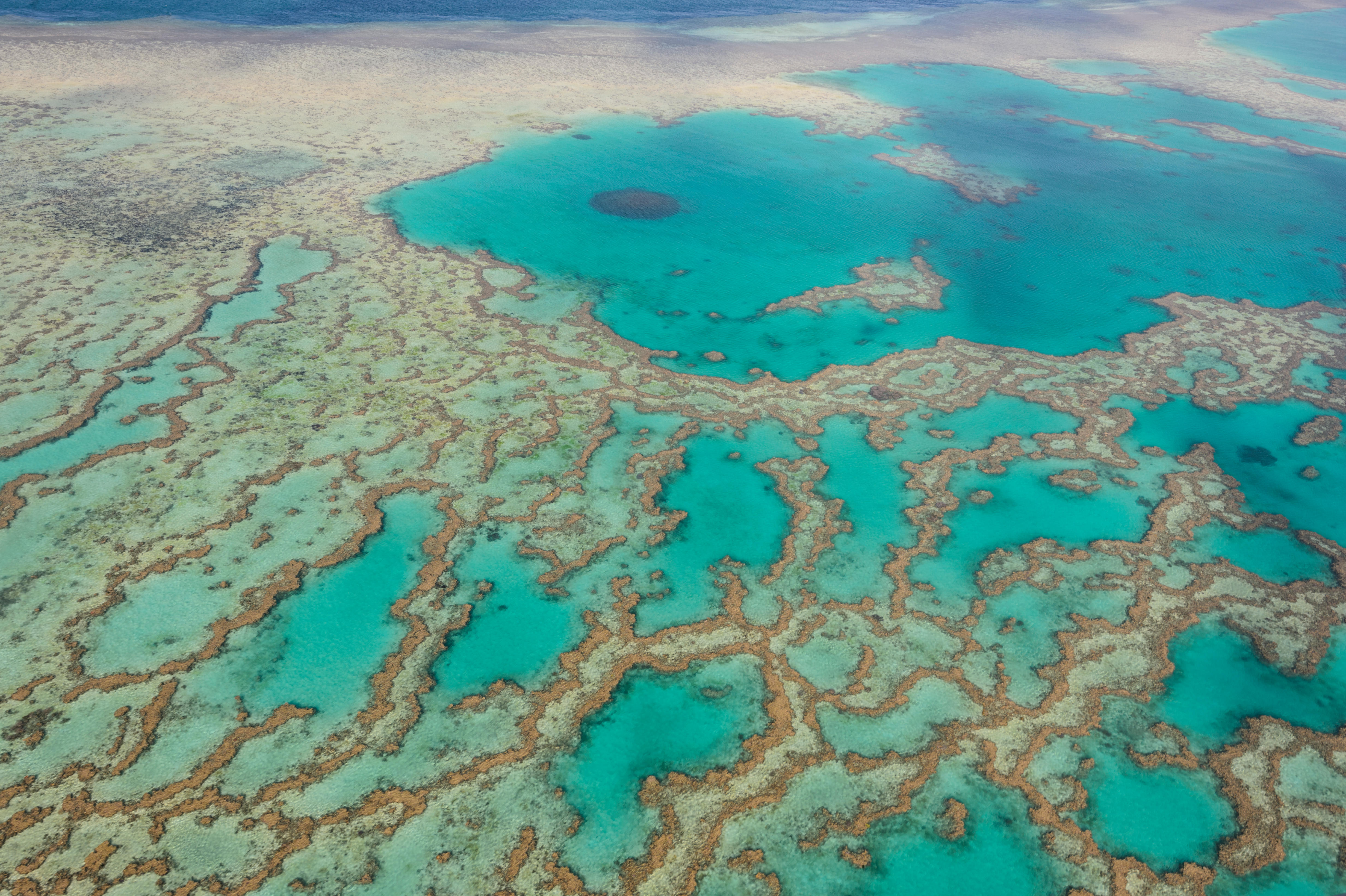 holiday-destination-barrier-reef-aust...