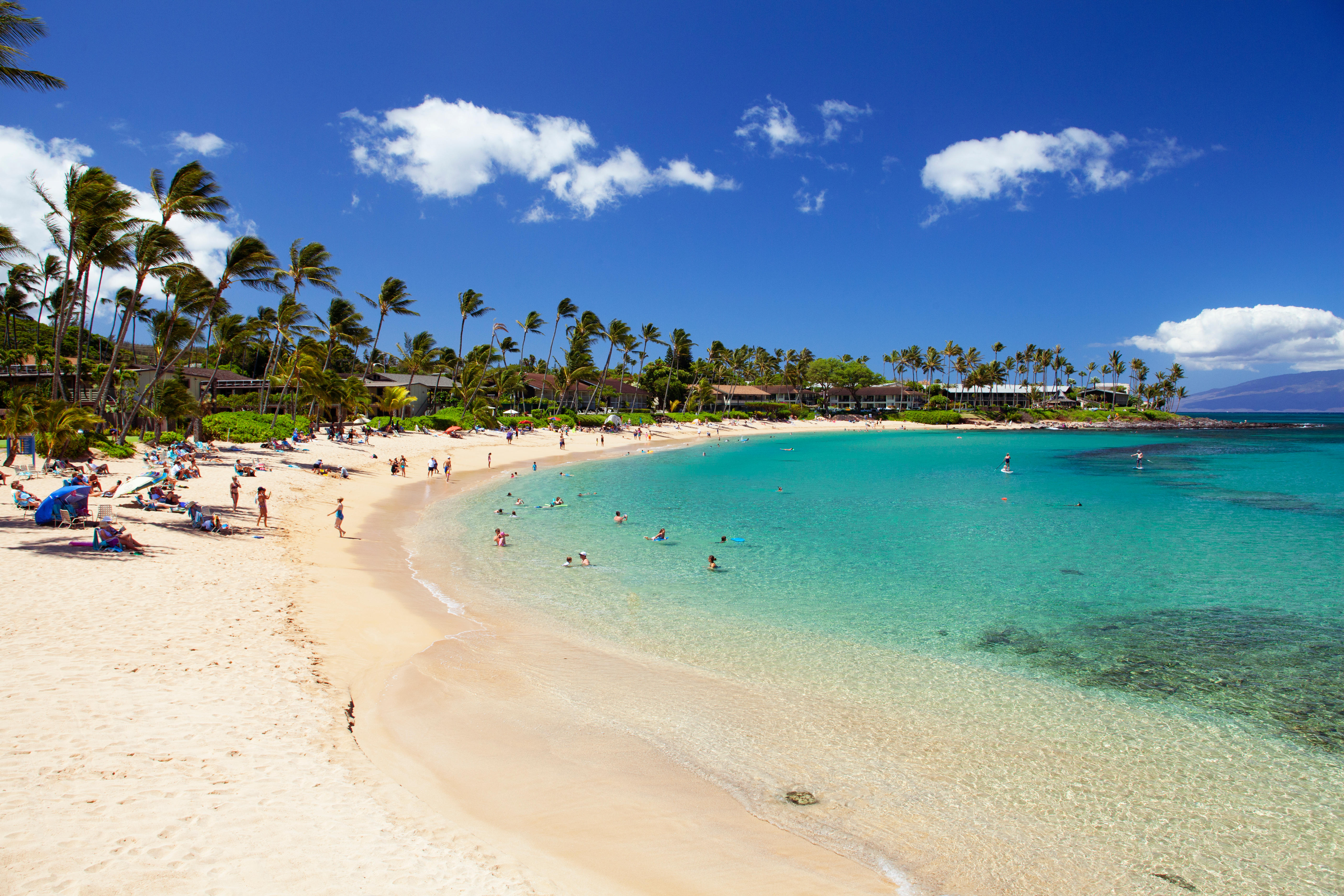 celebrity-destination-maui-hawaii.jpg
