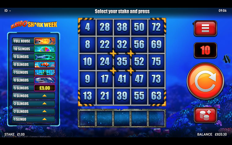 Slingo Shark Week Slots Slingo