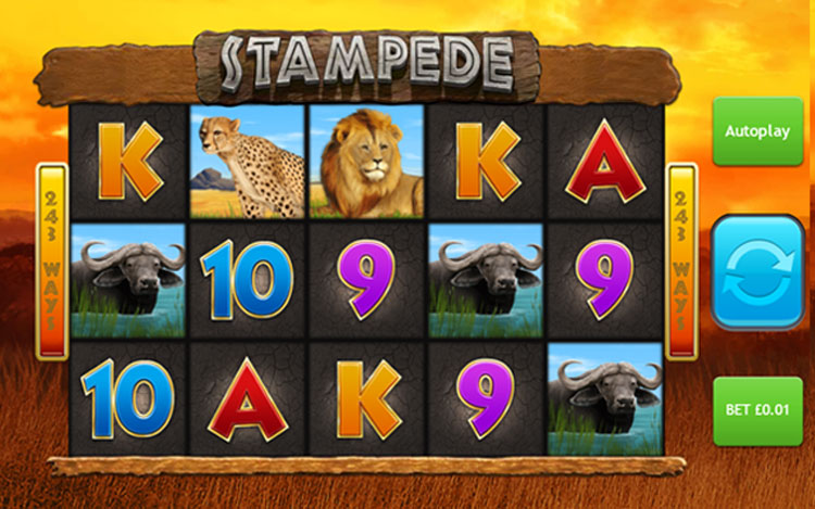 Stampede Slots Slingo