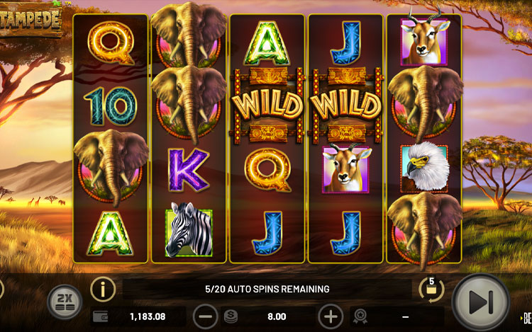 Stampede Slots Slingo